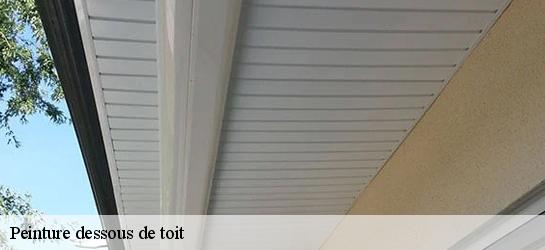 Peinture dessous de toit Nord 