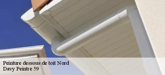 Peinture dessous de toit Nord 