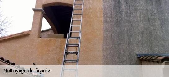 Nettoyage de façade  59255