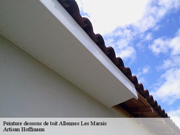 Peinture dessous de toit  allennes-les-marais-59251 Artisan Hoffmann