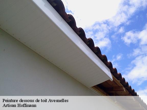 Peinture dessous de toit  avesnelles-59440 Artisan Hoffmann