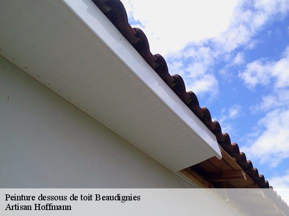 Peinture dessous de toit  beaudignies-59530 Artisan Hoffmann