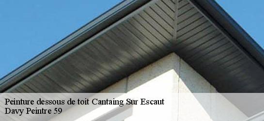 Peinture dessous de toit  59267