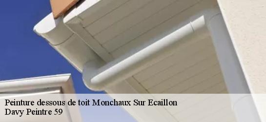 Peinture dessous de toit  59224
