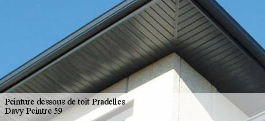 Peinture dessous de toit  59190