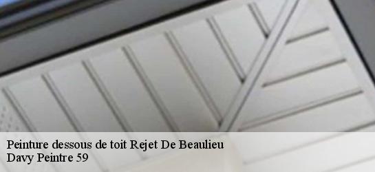 Peinture dessous de toit  59360