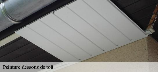 Peinture dessous de toit  59350