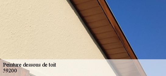 Peinture dessous de toit  59200