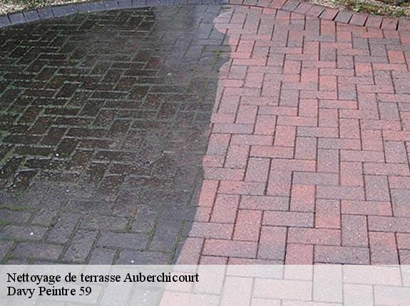 Nettoyage de terrasse  auberchicourt-59165 Davy Peintre 59