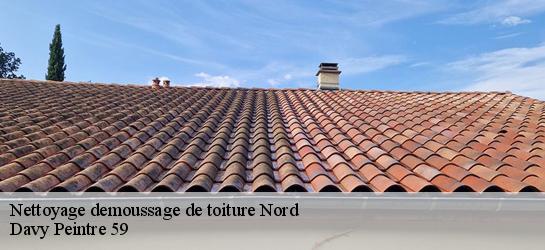 Nettoyage demoussage de toiture Nord 