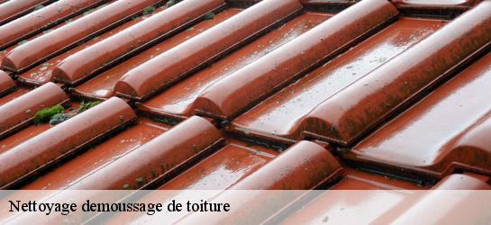 Nettoyage demoussage de toiture Nord 