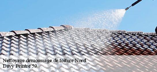 Nettoyage demoussage de toiture Nord 