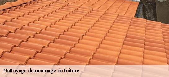 Nettoyage demoussage de toiture Nord 