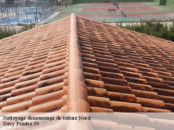 Nettoyage demoussage de toiture 59 Nord  Davy Peintre 59