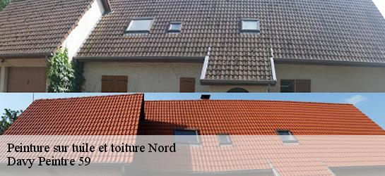 Peinture sur tuile et toiture Nord 