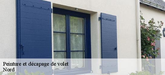 Peinture et décapage de volet Nord 