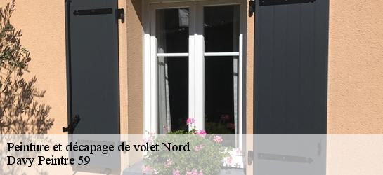 Peinture et décapage de volet Nord 