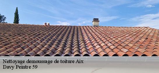 Nettoyage demoussage de toiture  59310