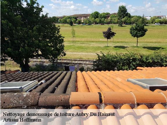 Nettoyage demoussage de toiture  aubry-du-hainaut-59494 Artisan Hoffmann