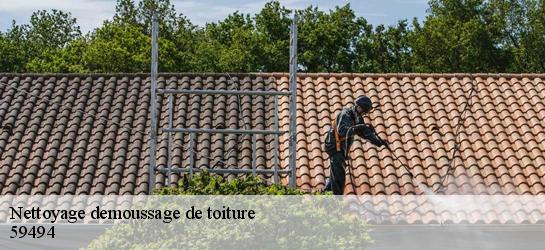 Nettoyage demoussage de toiture  59494