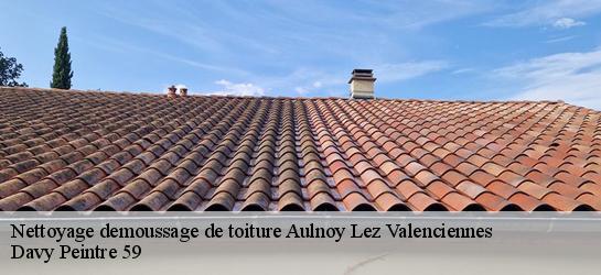 Nettoyage demoussage de toiture  59300