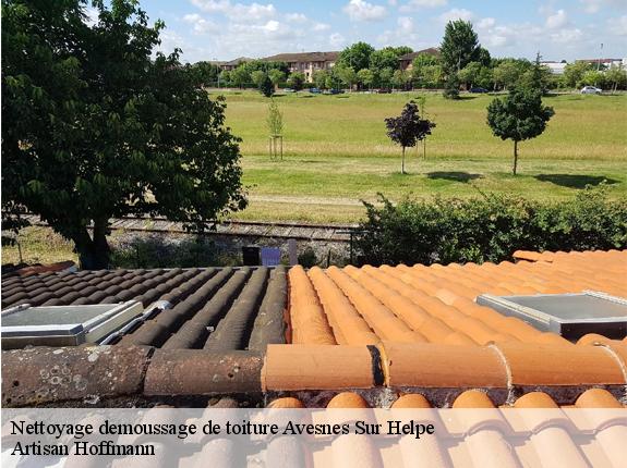 Nettoyage demoussage de toiture  avesnes-sur-helpe-59440 Artisan Hoffmann