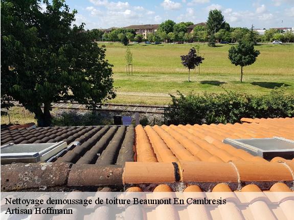Nettoyage demoussage de toiture  beaumont-en-cambresis-59540 Artisan Hoffmann