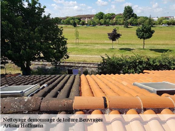 Nettoyage demoussage de toiture  beuvrages-59192 Artisan Hoffmann