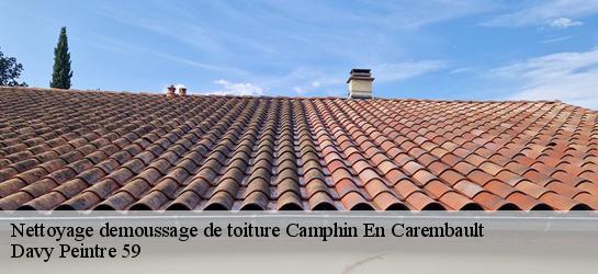 Nettoyage demoussage de toiture  59133