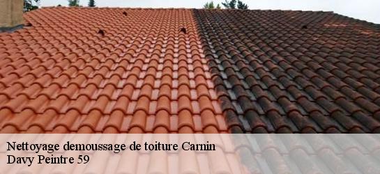 Nettoyage demoussage de toiture  59112