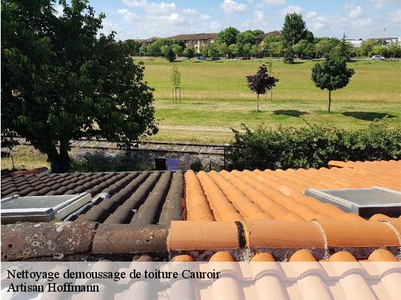 Nettoyage demoussage de toiture  cauroir-59400 Artisan Hoffmann