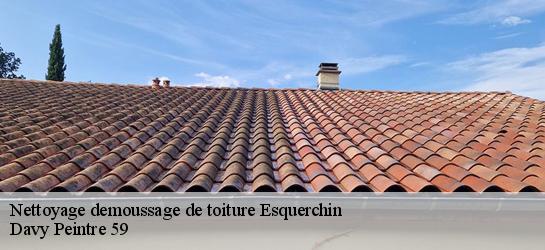 Nettoyage demoussage de toiture  59553