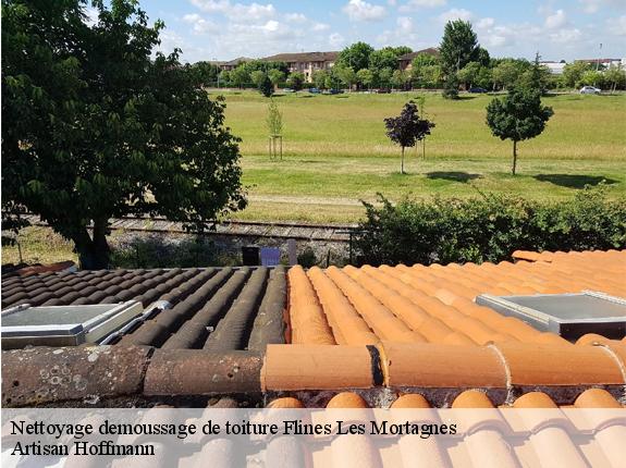 Nettoyage demoussage de toiture  flines-les-mortagnes-59158 Artisan Hoffmann