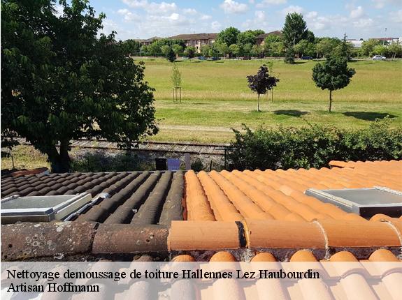 Nettoyage demoussage de toiture  hallennes-lez-haubourdin-59320 Artisan Hoffmann