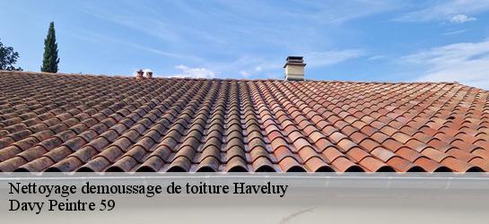 Nettoyage demoussage de toiture  59255