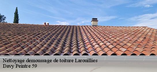 Nettoyage demoussage de toiture  59219