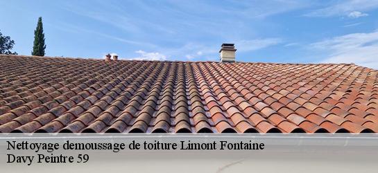 Nettoyage demoussage de toiture  59330