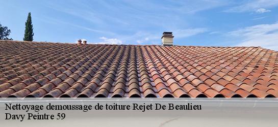 Nettoyage demoussage de toiture 59360