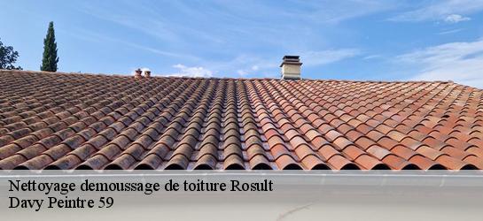 Nettoyage demoussage de toiture  59230