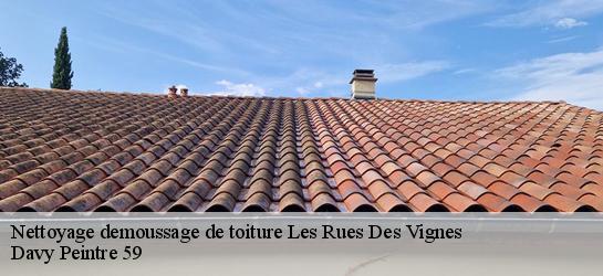 Nettoyage demoussage de toiture  59258