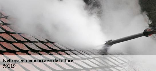 Nettoyage demoussage de toiture  59119