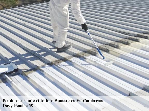 Peinture sur tuile et toiture  boussieres-en-cambresis-59217 Davy Peintre 59