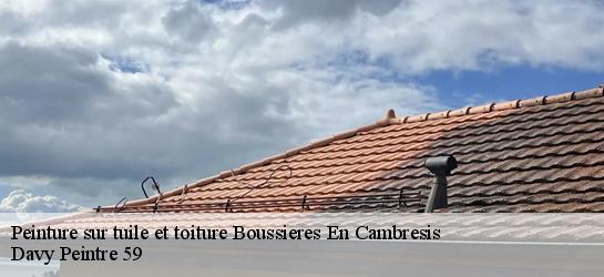 Peinture sur tuile et toiture  59217