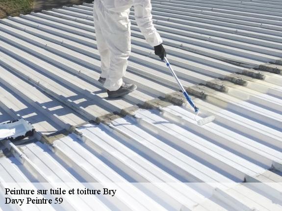 Peinture sur tuile et toiture  bry-59144 Davy Peintre 59