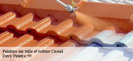 Peinture sur tuile et toiture  59670