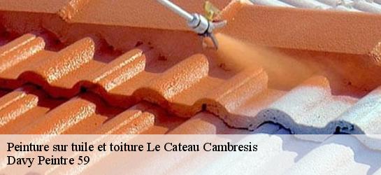 Peinture sur tuile et toiture  59360