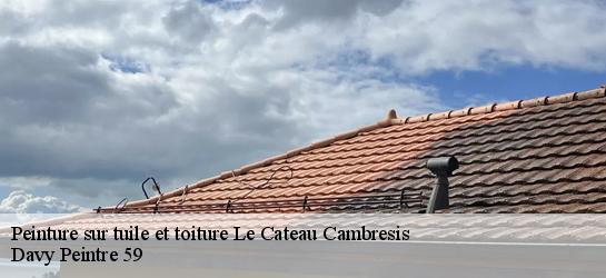 Peinture sur tuile et toiture  59360