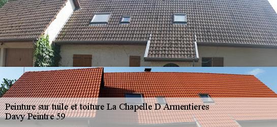 Peinture sur tuile et toiture  59930