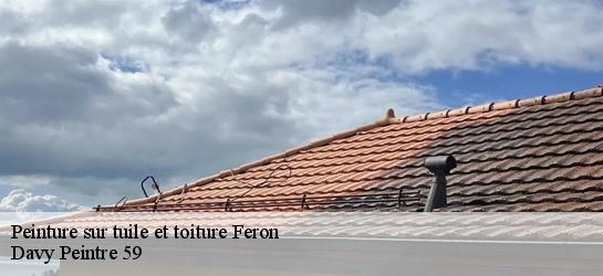 Peinture sur tuile et toiture  59610
