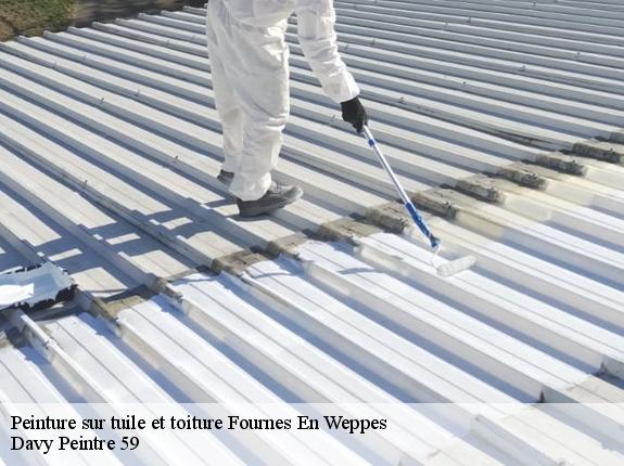 Peinture sur tuile et toiture  fournes-en-weppes-59134 Davy Peintre 59